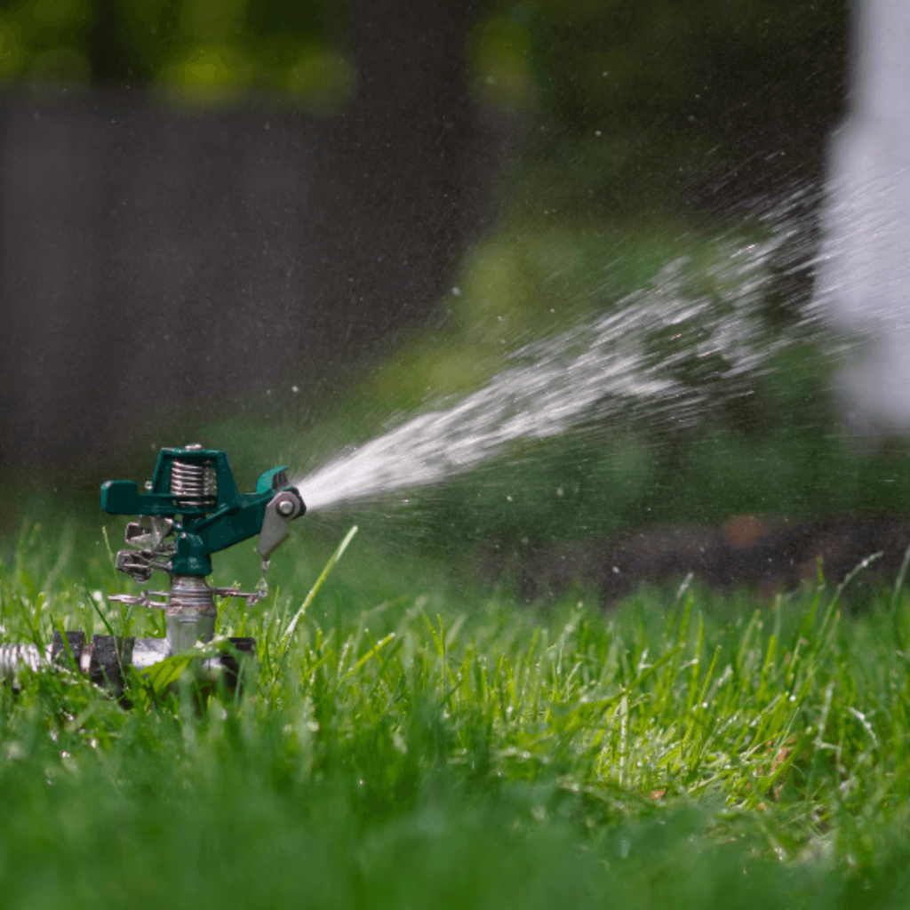 Spring Is Finally Blooming in Iowa. Here Are 8 Tips to Get a Gorgeous Yard.